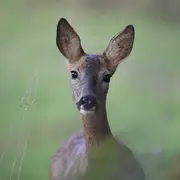 Domaine de Sédières : Exposition en extérieur