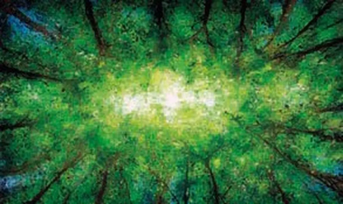 Domaine de Sédières : Exposition : Nature