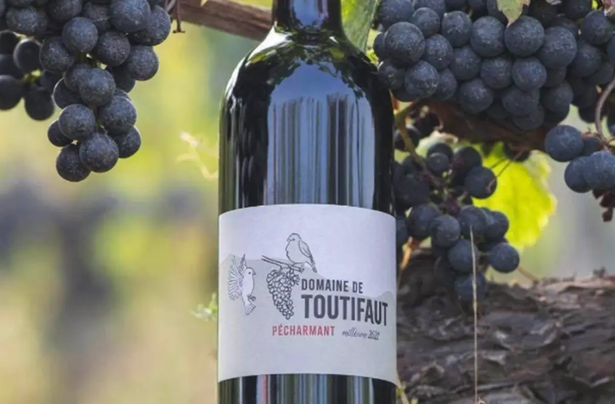 Domaine de Toutifaut | Jeu de piste