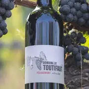 Domaine de Toutifaut | Jeu de piste