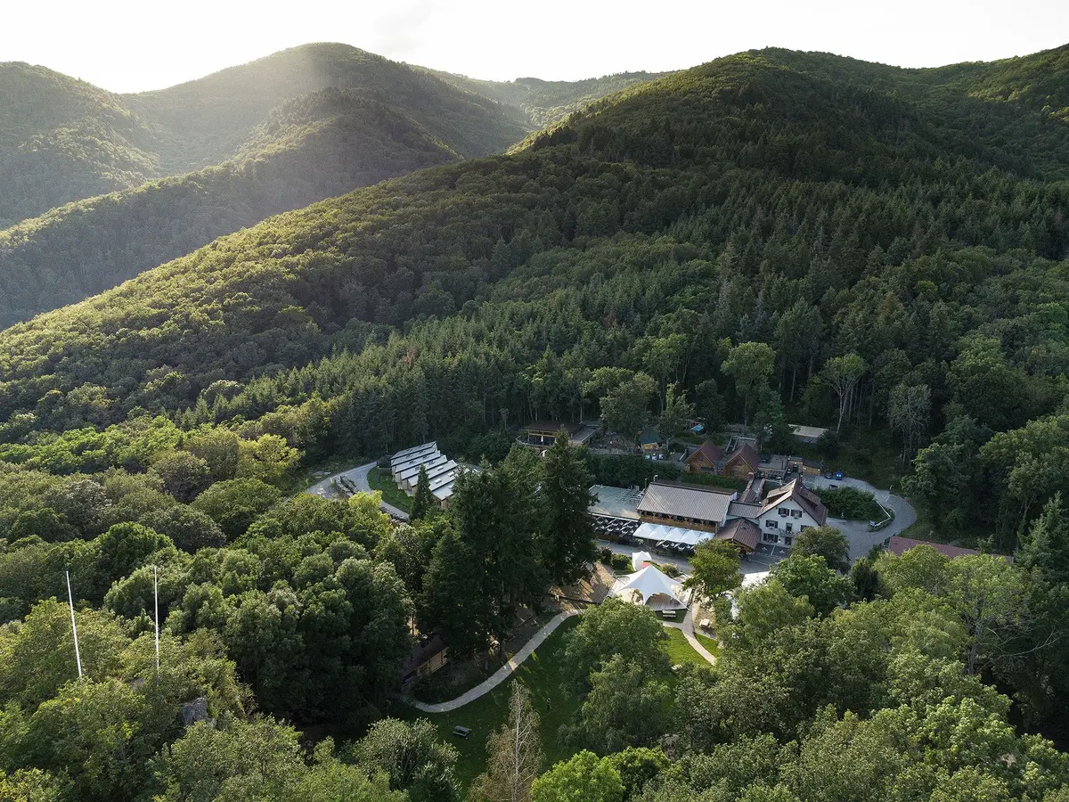 Le Domaine est niché au coeur de la forêt