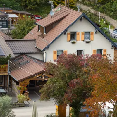 Un refuge entre les arbres, un lien entre les êtres