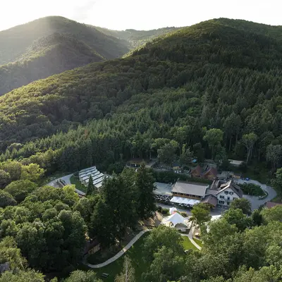 Un refuge entre les arbres, un lien entre les êtres