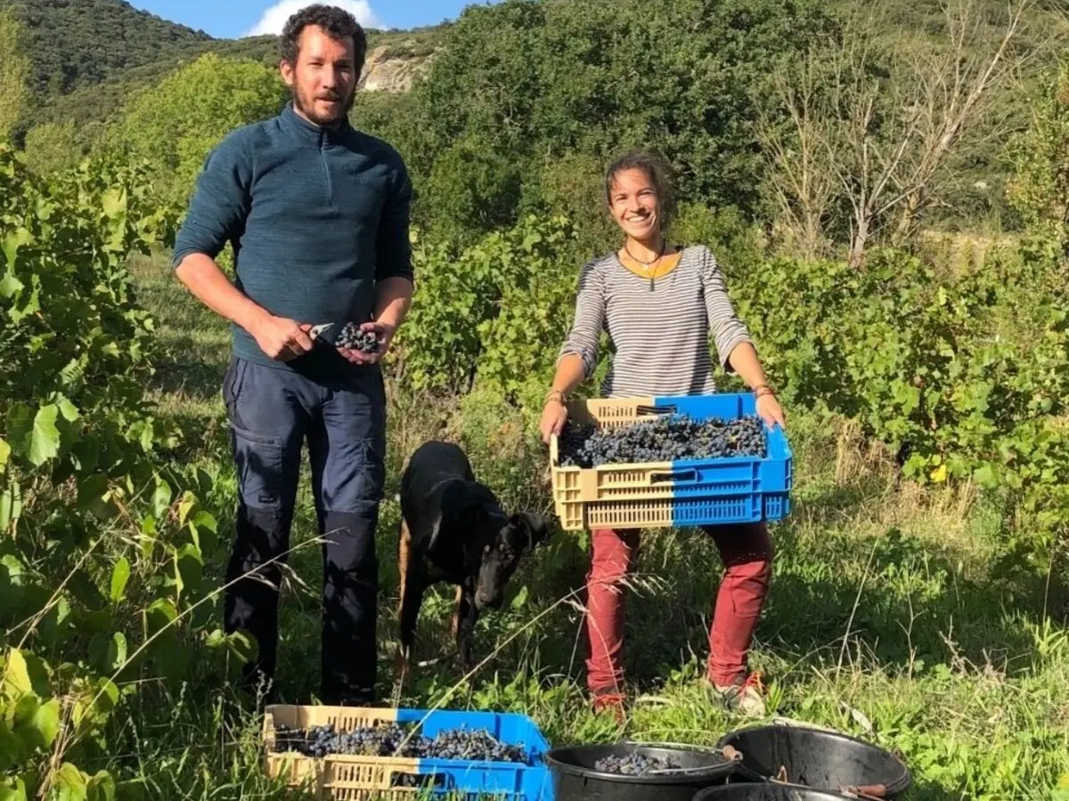 Domaine Roquenegade - De Ferme En Ferme En Val De Dagne