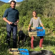 Domaine Roquenegade - De Ferme En Ferme En Val De Dagne