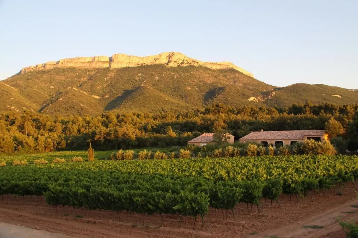 Domaine Saint Hubert