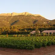 Domaine Saint Hubert