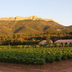 Domaine Saint Hubert