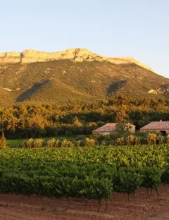 Domaine Saint Hubert