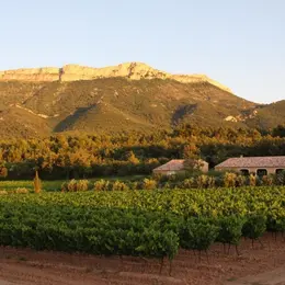 Domaine Saint Hubert