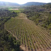 Domaine Vinéa Adrian - De Ferme En Ferme En Val De Dagne