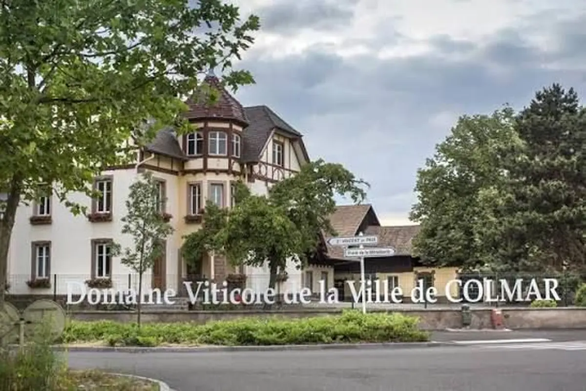 Domaine Viticole de la ville de Colmar
