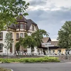 Domaine Viticole de la ville de Colmar