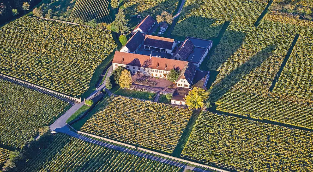 Le mythique Domaine Weinbach, installé au sein du Clos des Capucins