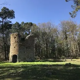 Donjon et moulin de Pirou