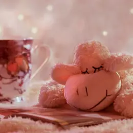 Doudous lecteurs de Noël