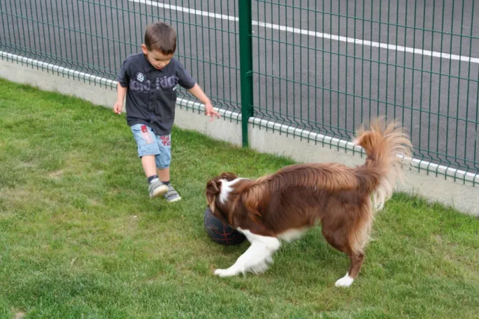 Jouer 10 minutes avec son chien après l\'école est l\'occasion de lui rappeler quelques règles d\'éducation