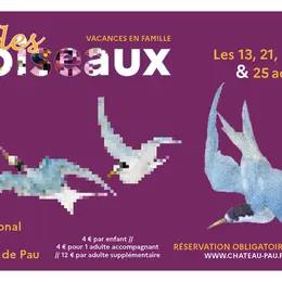 Drôles d'oiseaux