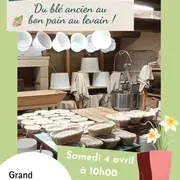 Du blé ancien  au bon  pain au levain !