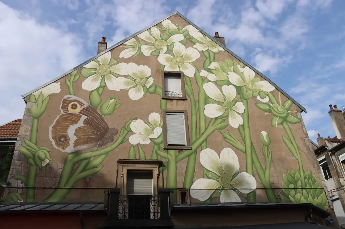 Du centre-ville à Planoise, partez à la découverte du street art à Besançon