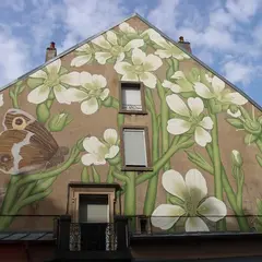 Du centre-ville à Planoise, partez à la découverte du street art à Besançon