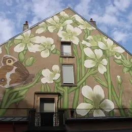 Du centre-ville à Planoise, partez à la découverte du street art à Besançon