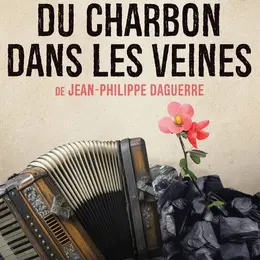 Du Charbon Dans Les Veines - Boitaclous