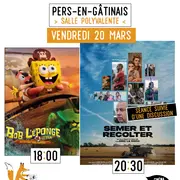 Du cinéma dans mon village