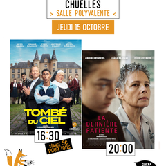 Du cinéma dans mon village :  “Tombé du ciel” & La dernière patiente