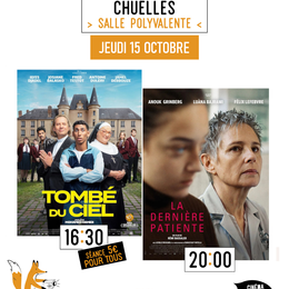 Du cinéma dans mon village :  “Tombé du ciel” & La dernière patiente