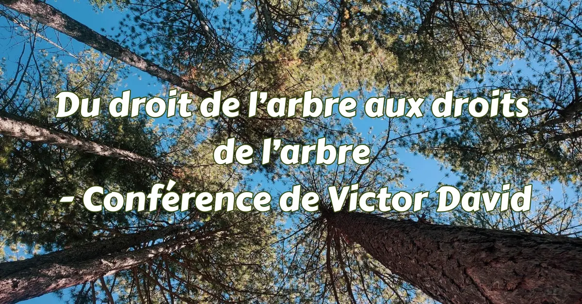 Du droit de l’arbre aux droits de l’arbre - conférence