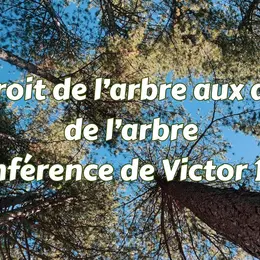 Du droit de l’arbre aux droits de l’arbre - conférence