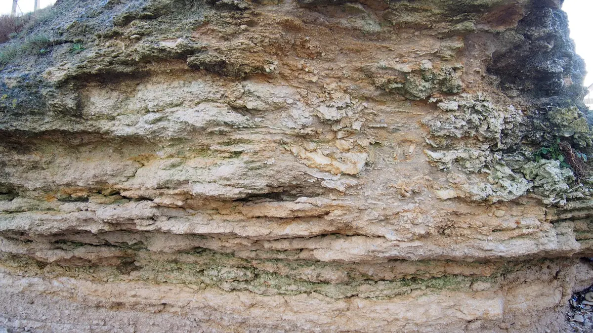 Du fossile à l'actuel au Cap Romain