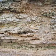 Du fossile à l'actuel au Cap Romain