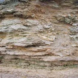 Du fossile à l'actuel au Cap Romain
