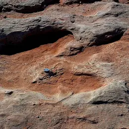 Du Jurassique au Pléistocène, voyage à travers les environnements du passé (conférence - Fête de la Science)