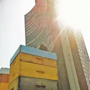 Du miel, oui... mais de Mulhouse ! Jean-Baptiste Turlot et ses miels urbains