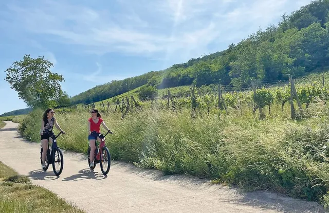Louez votre vélo électrique dans le vignoble alsacien