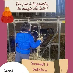 Du pré à l'assiette, la magie du lait