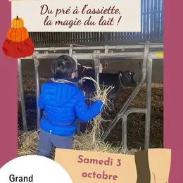 Du pré à l'assiette, la magie du lait