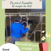 Du pré à l'assiette, la magie du lait