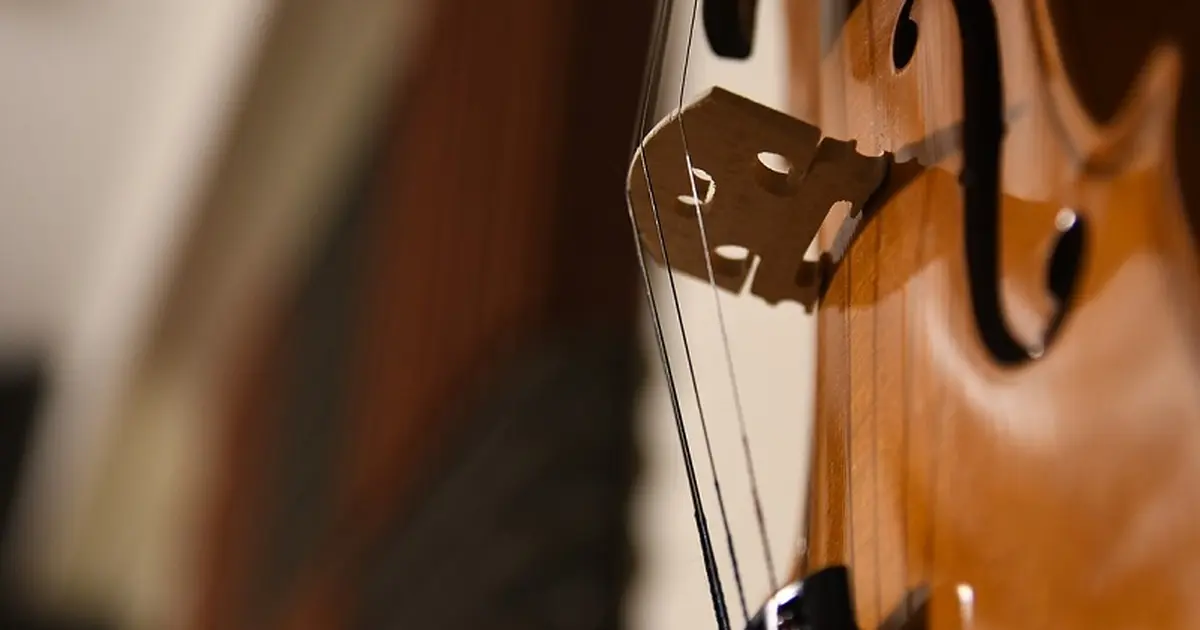 Duo Violoncelle et Accordéon : Voyage au cœur de la Grande Europe