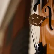 Duo Violoncelle et Accordéon : Voyage au cœur de la Grande Europe