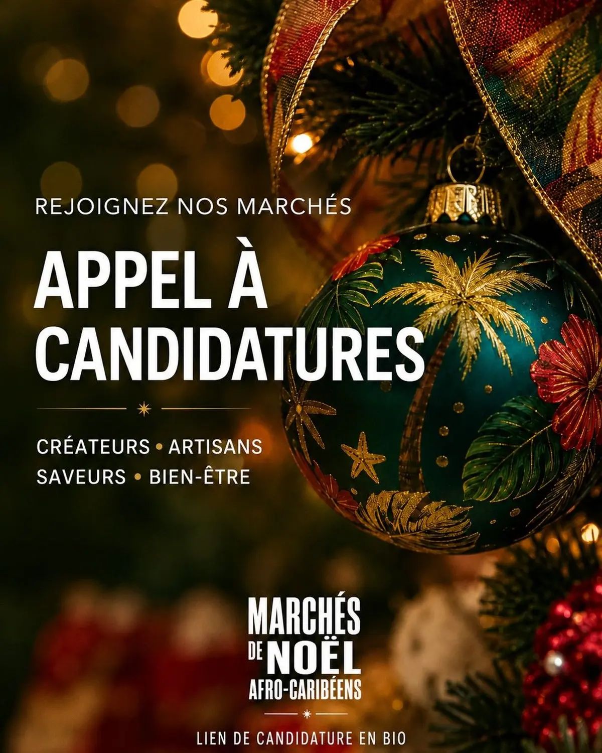 Appel à candidatures -Marché de Noël Afro-Caribéen 22 novembre à Bordeaux 