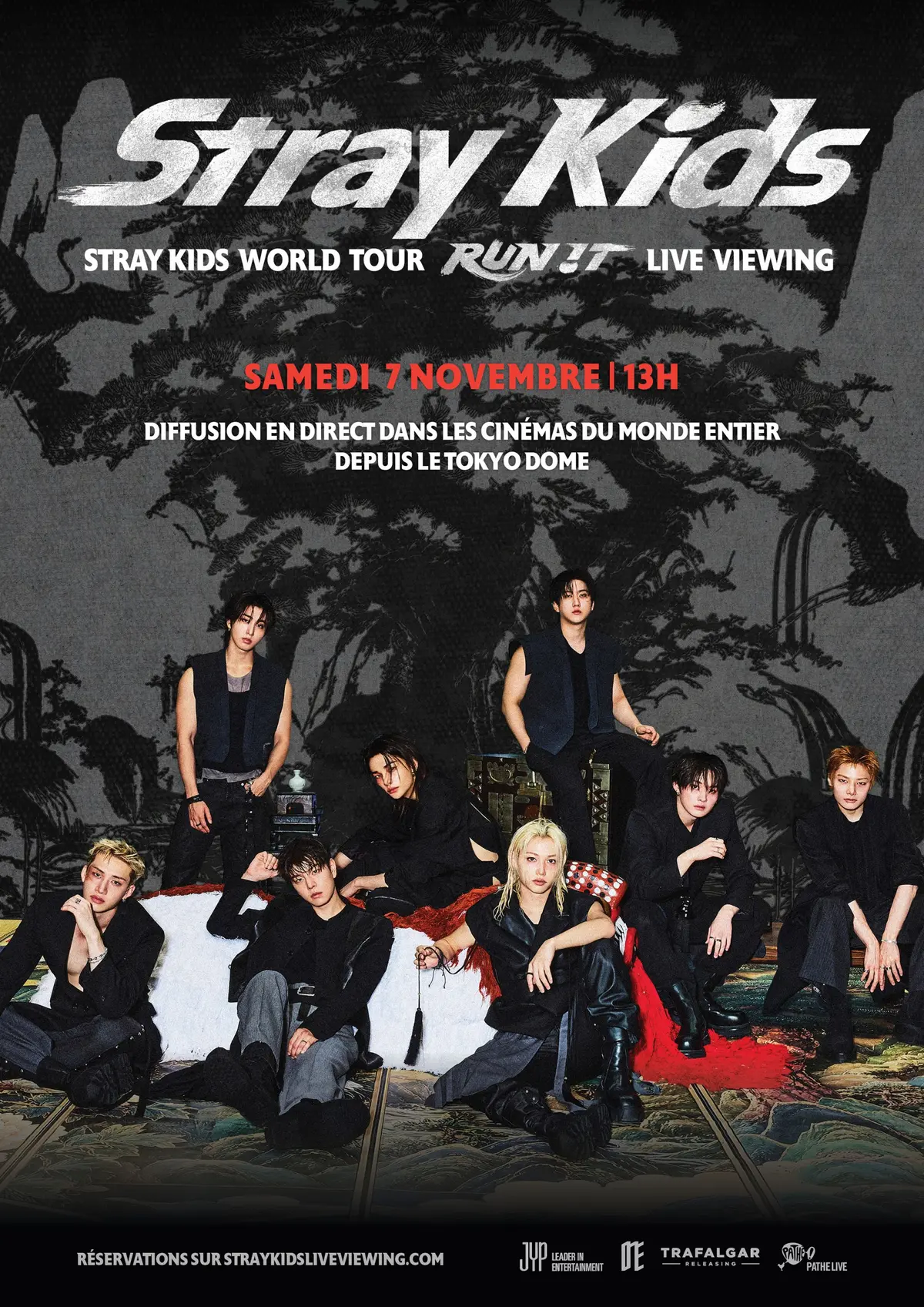Concert : Stray Kids World Tour  LIVE VIEWING
