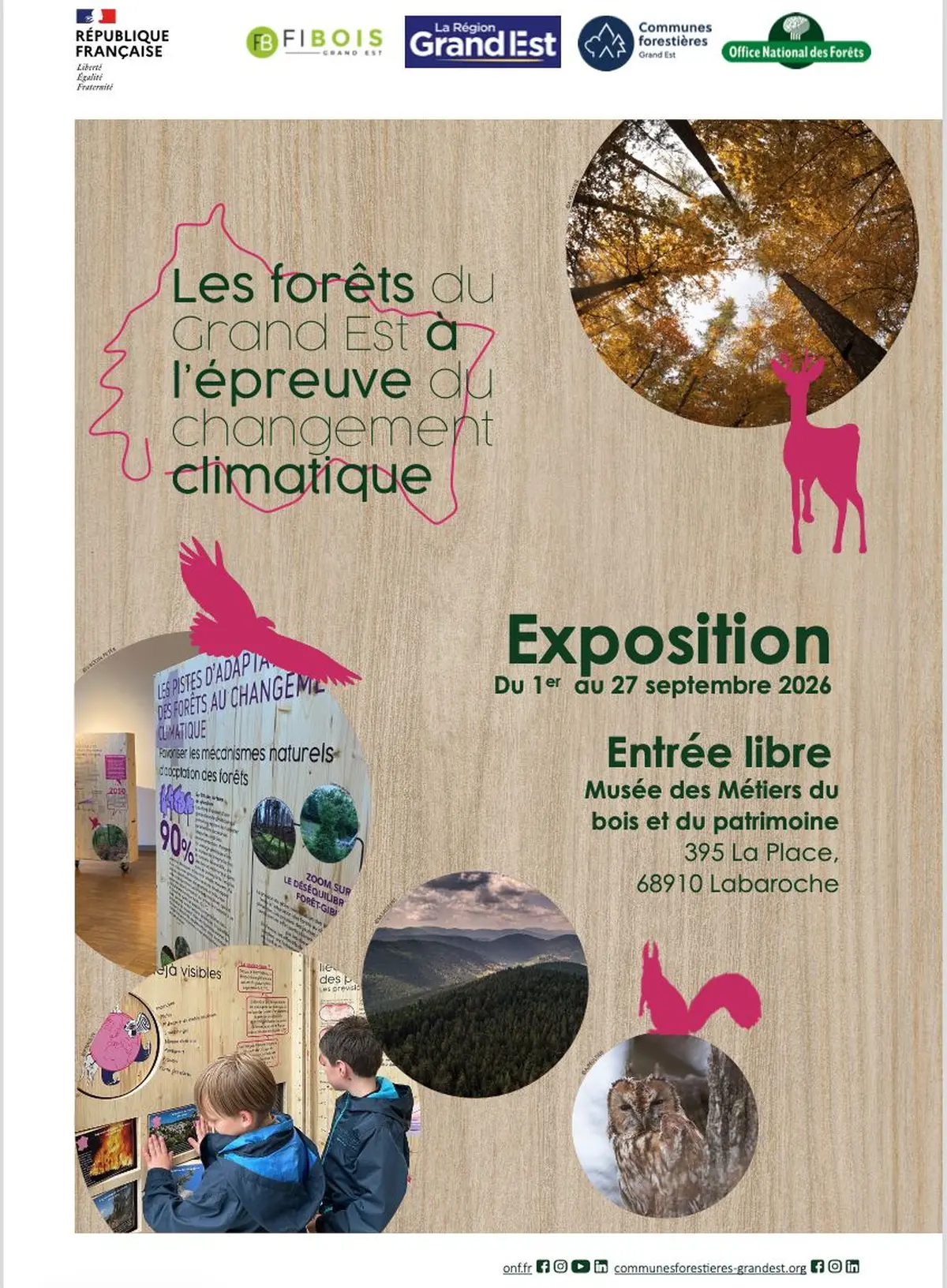 Exposition Les Forêts du Grand Est à l'épreuve du changement climatique