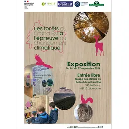Exposition Les Forêts du Grand Est à l'épreuve du changement climatique
