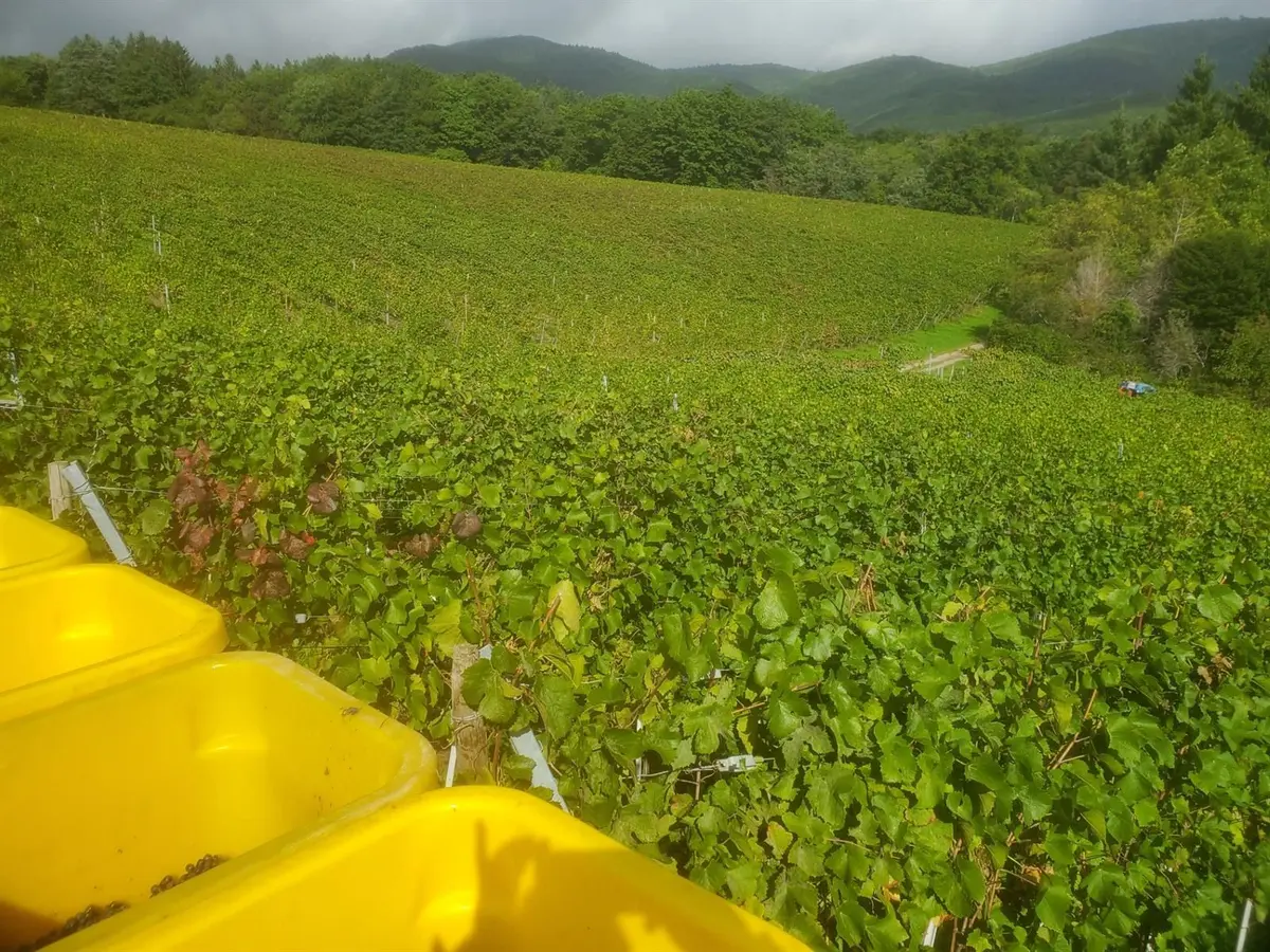 Visite du Domaine de la Grange