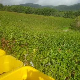 Visite du Domaine de la Grange