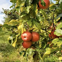 Marche Les mains qui nous nourissent